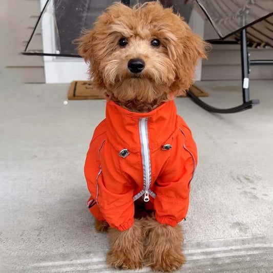 Dog Jacket Windproof Splash-proof Anti-static Warm & Cold-resistant Adjustable Jacket Dogs Rain Coat