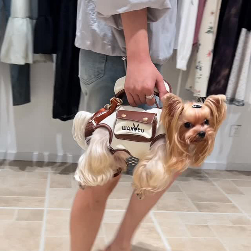 Dogs One-shoulder Portable Pet Backpack Traction Travel