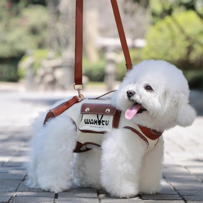 Dogs One-shoulder Portable Pet Backpack Traction Travel