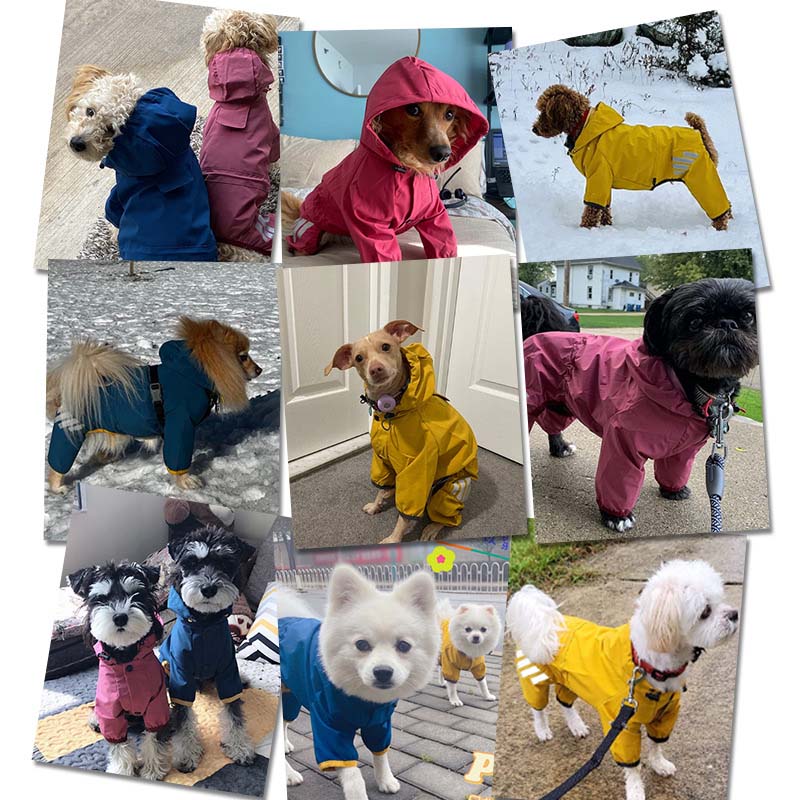 Dog Raincoat for Small Dogs Adjustable Four-Legged Reflective Dogs Rain Coat